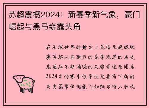 苏超震撼2024：新赛季新气象，豪门崛起与黑马崭露头角