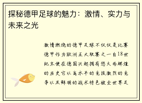 探秘德甲足球的魅力：激情、实力与未来之光