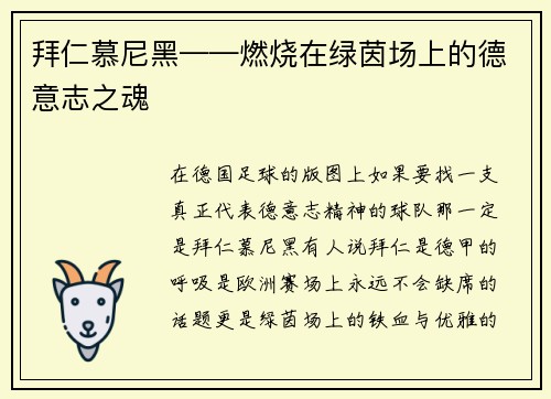 拜仁慕尼黑——燃烧在绿茵场上的德意志之魂